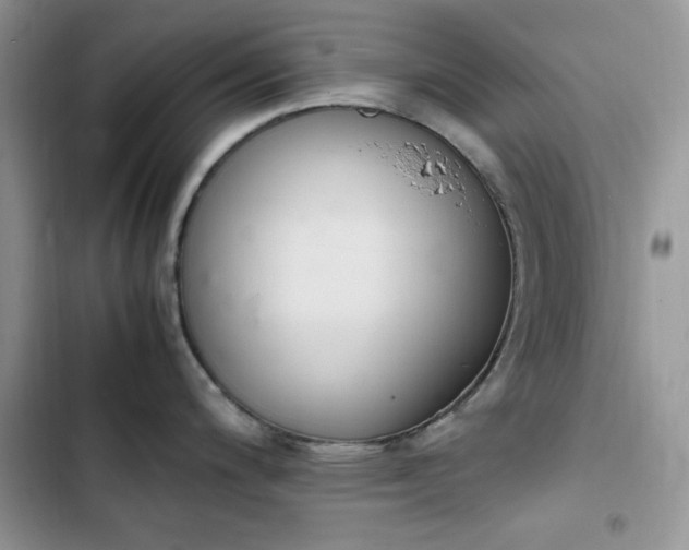 X0000103941200200809191409