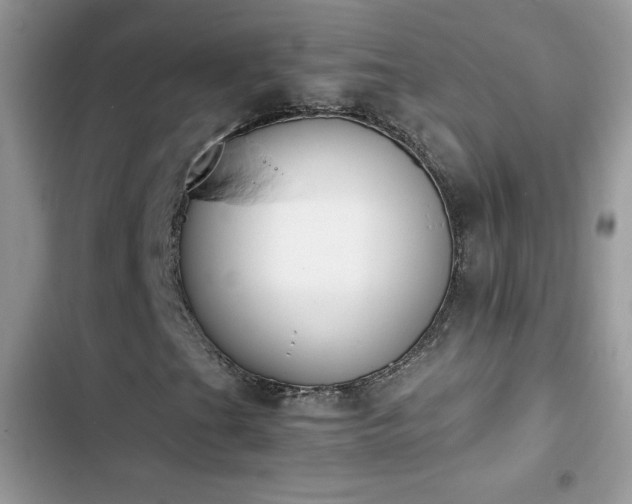 X0000103941201200809191409