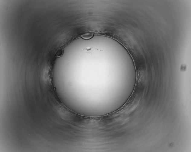X0000103941202200809191409