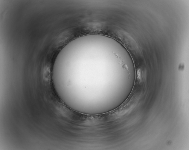 X0000103941203200809191409