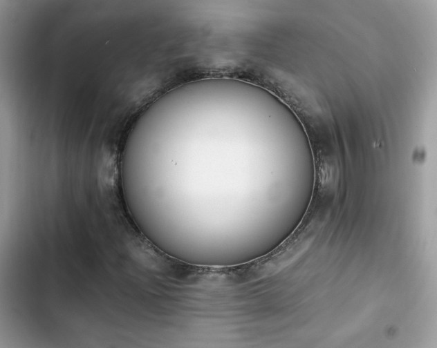 X0000103941204200809191409
