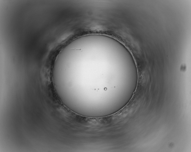 X0000103941205200809191409