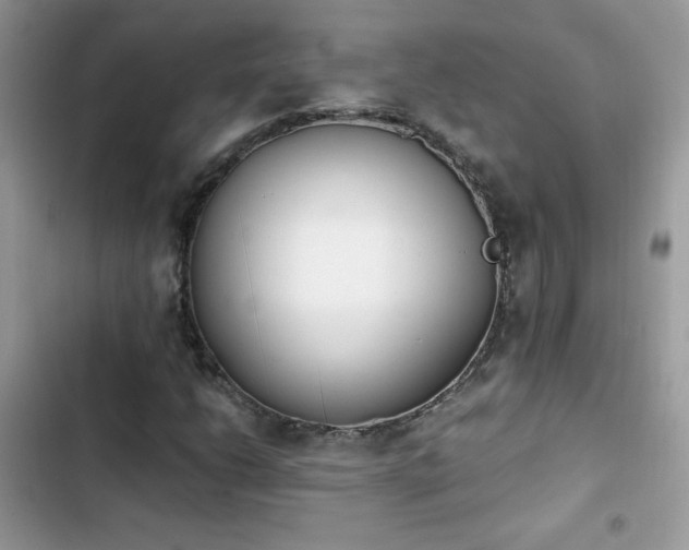 X0000103941206200809191409