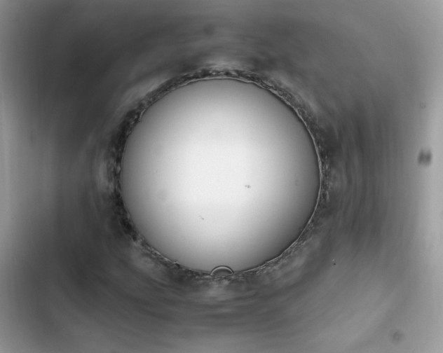 X0000103941207200809191409