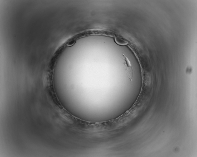 X0000103941208200809191409