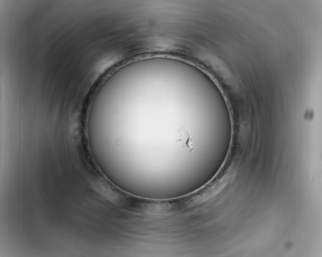 X0000103941210200809191409