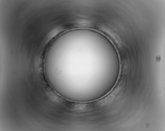 X0000103941211200809191409