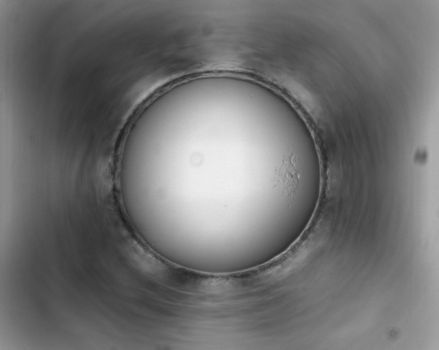 X0000103941212200809191409