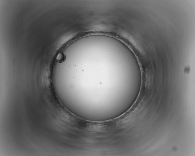 X0000103941213200809191409