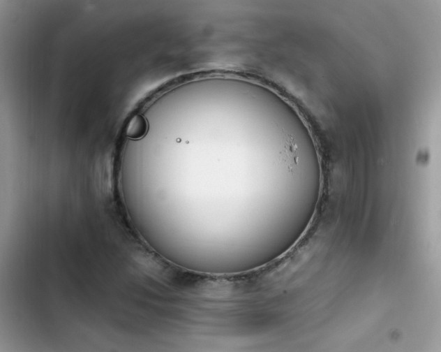 X0000103941214200809191409