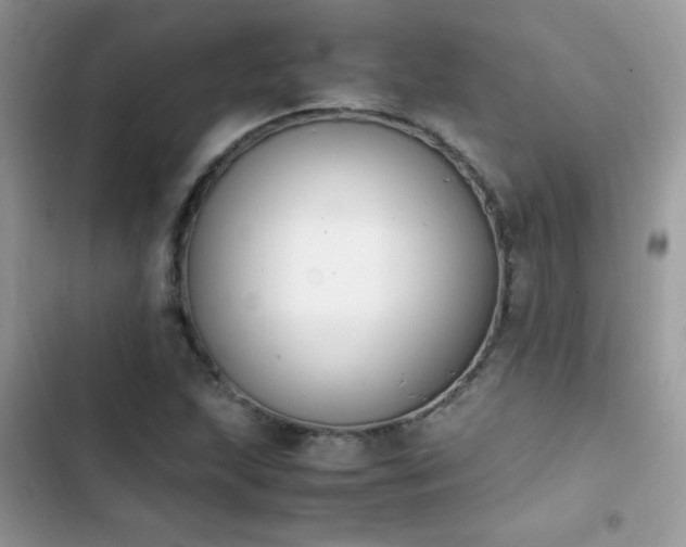 X0000103941215200809191409