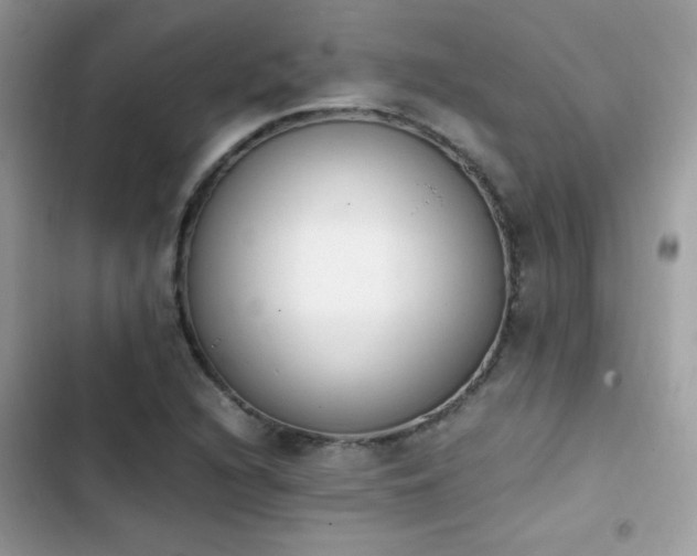 X0000103941216200809191409