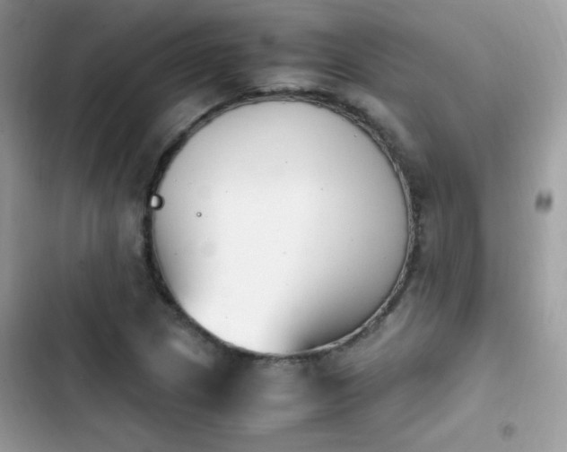 X0000103941217200809191409