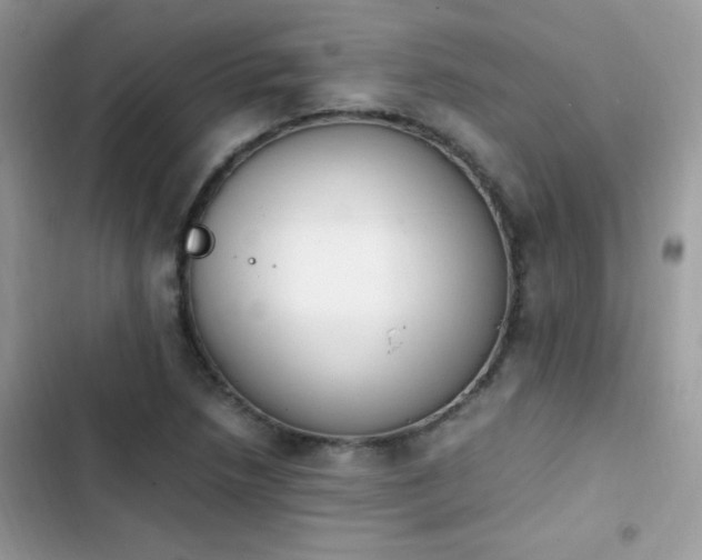 X0000103941218200809191409