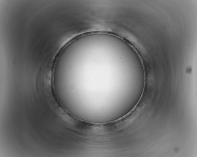 X0000103941220200809191409