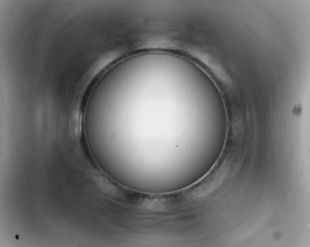 X0000103941221200809191409