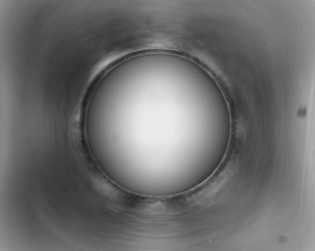 X0000103941222200809191409