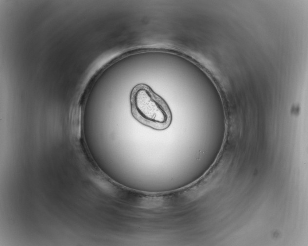 X0000103941223200809191409