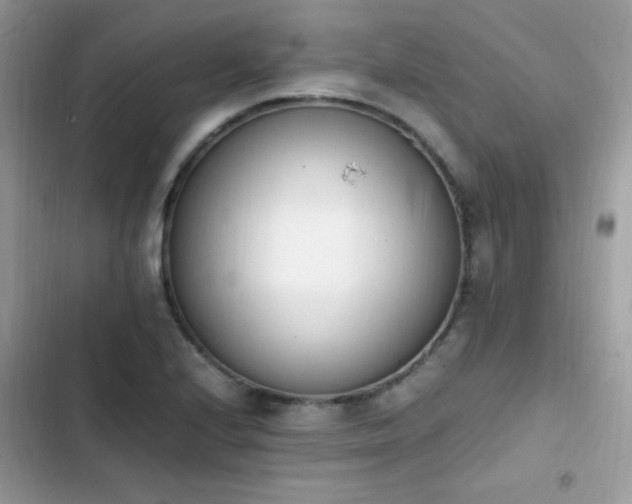 X0000103941224200809191409