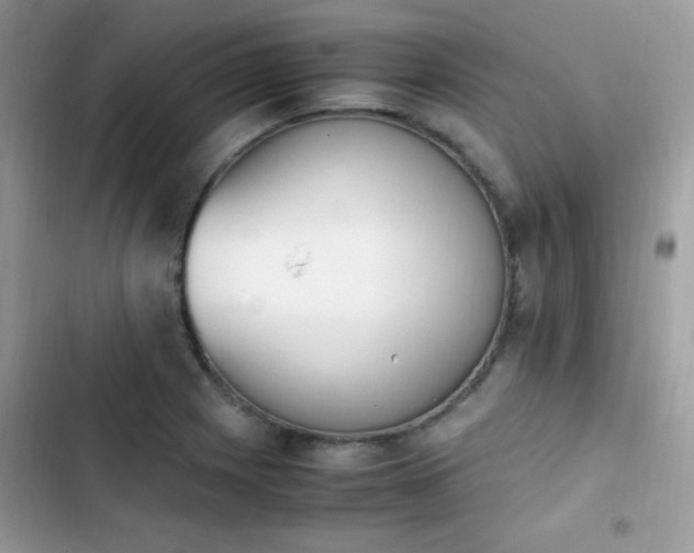 X0000103941225200809191409