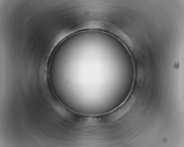 X0000103941226200809191409