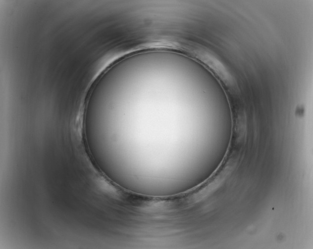 X0000103941228200809191409