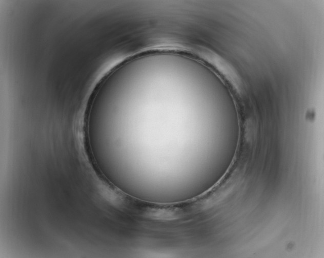 X0000103941229200809191409