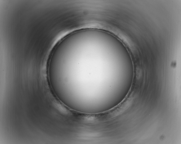 X0000103941230200809191409