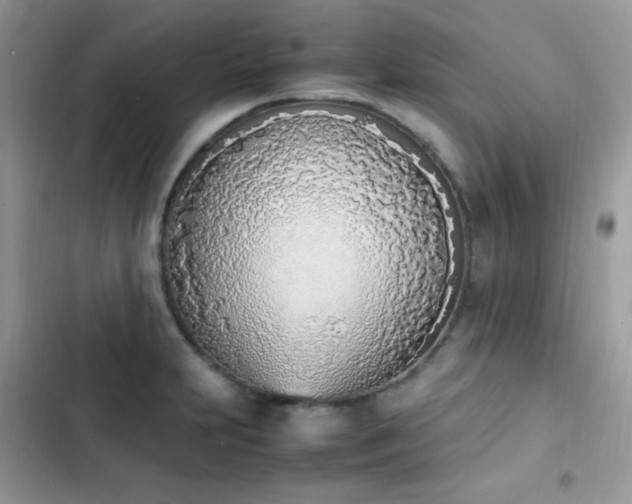X0000103941231200809191409