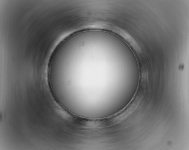 X0000103941232200809191409