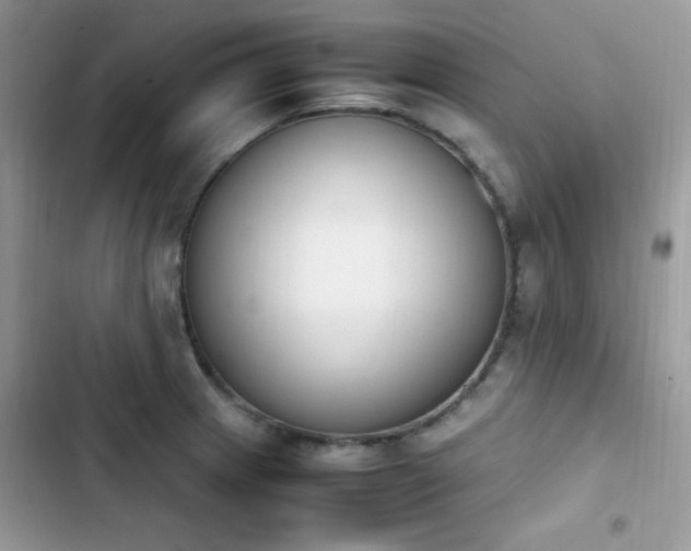 X0000103941233200809191409