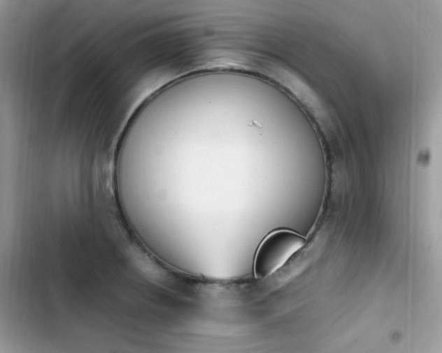 X0000103941234200809191409