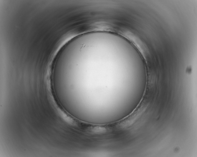 X0000103941235200809191409