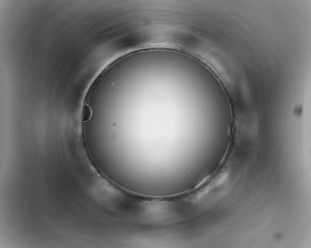 X0000103941236200809191409