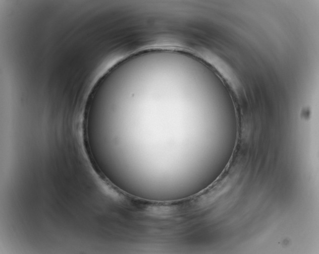 X0000103941237200809191409