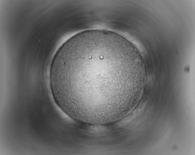 X0000103941239200809191409