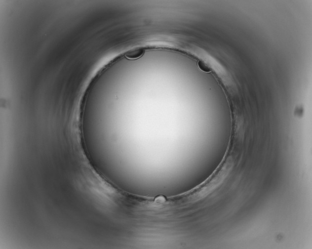 X0000103941240200809191409
