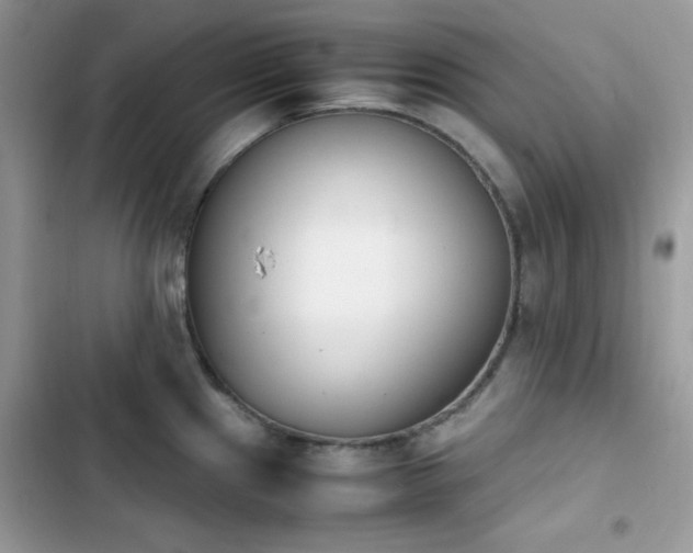 X0000103941241200809191409