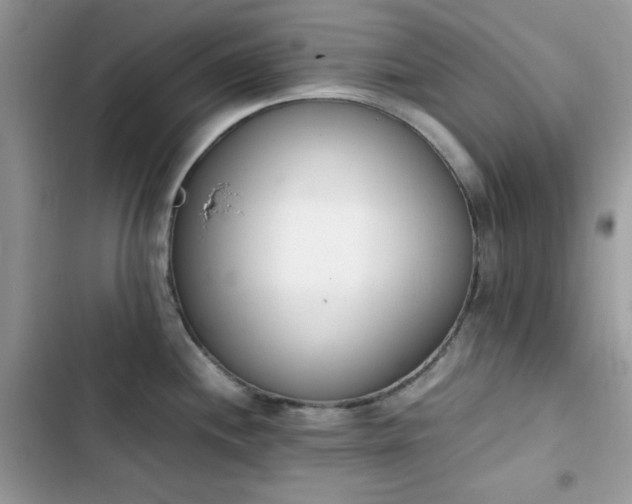 X0000103941244200809191409