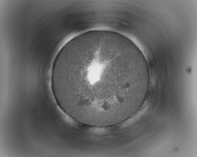 X0000103941245200809191409