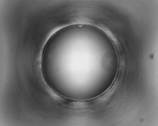 X0000103941246200809191409