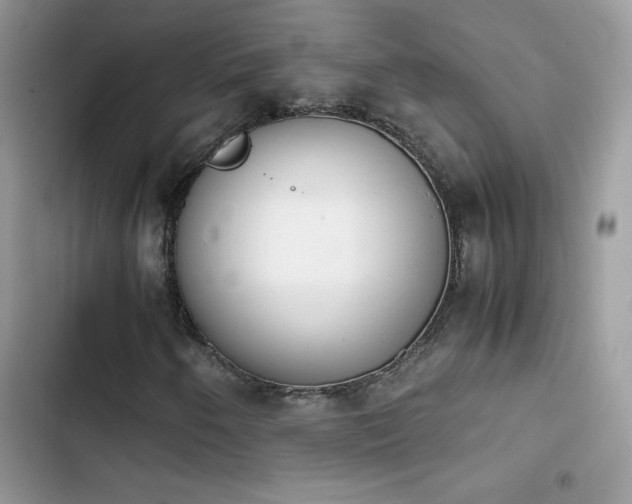 X0000103941250200809191409