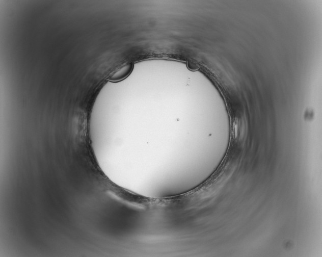 X0000103941251200809191409
