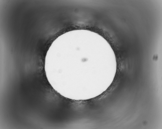 X0000103941253200809191409