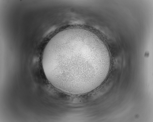 X0000103941254200809191409