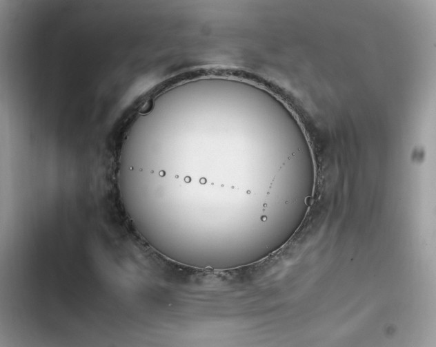X0000103941255200809191409