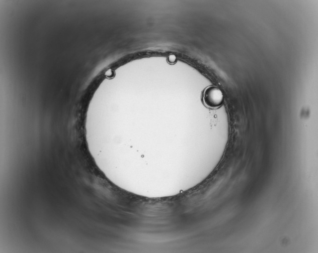X0000103941256200809191409