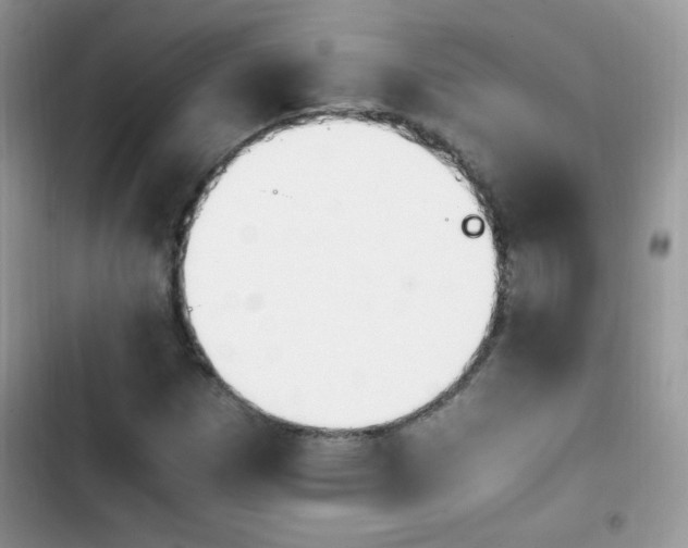 X0000103941257200809191409