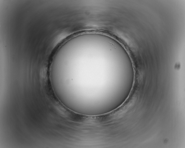 X0000103941259200809191408