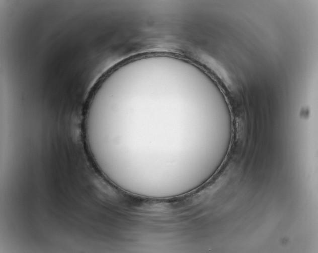 X0000103941260200809191408